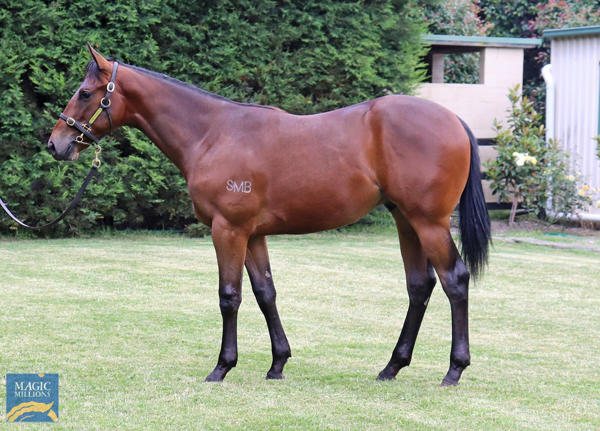 JenCampinRacing's tweet photo. All in a days work 🔥

JCB part owned Pharoah Magic makes it an all the way win at @kemblaraces this afternoon for @CummingsRacing.

We love American Pharoah's progeny and can't wait to see https://t.co/upcvZ339Vx owned Pharoah's Dream in action. https://t.co/2a6eqmAOM4