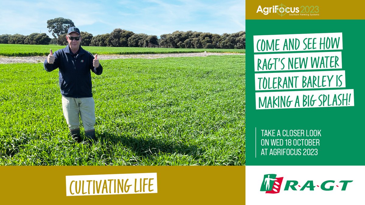 Visit David 'Rocky' Barnett at the RAGT stand - register your interest in our new Water Tolerant barley variety & enter to WIN a 20kg bag of RGT Clavier CL winter canola.
#RAGTAustralia #cultivatinglife #thinksolutions #thinkRAGT #hybridcanola #canola #emergingcanolastars
