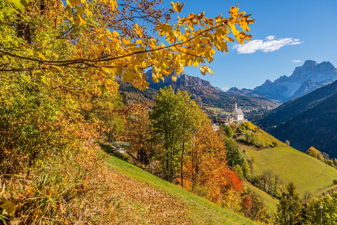 I colori dell'autunno 🇸🇱 🍁🍃🍂
#collesantalucia #dolomiti #dolomites #ladinia #montagna
