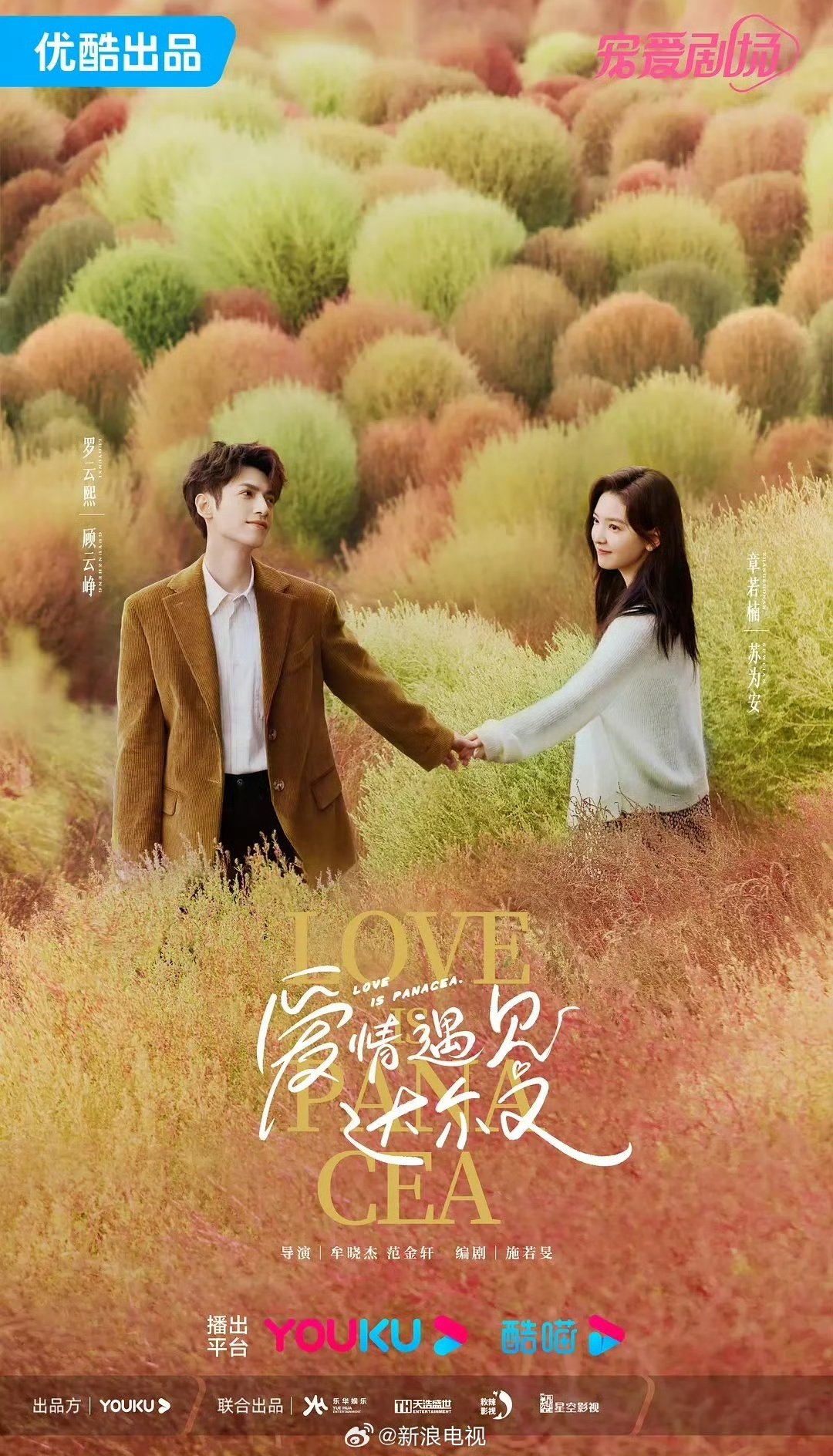 Youku - #LoveIsPanacea A new year has arrived and love is