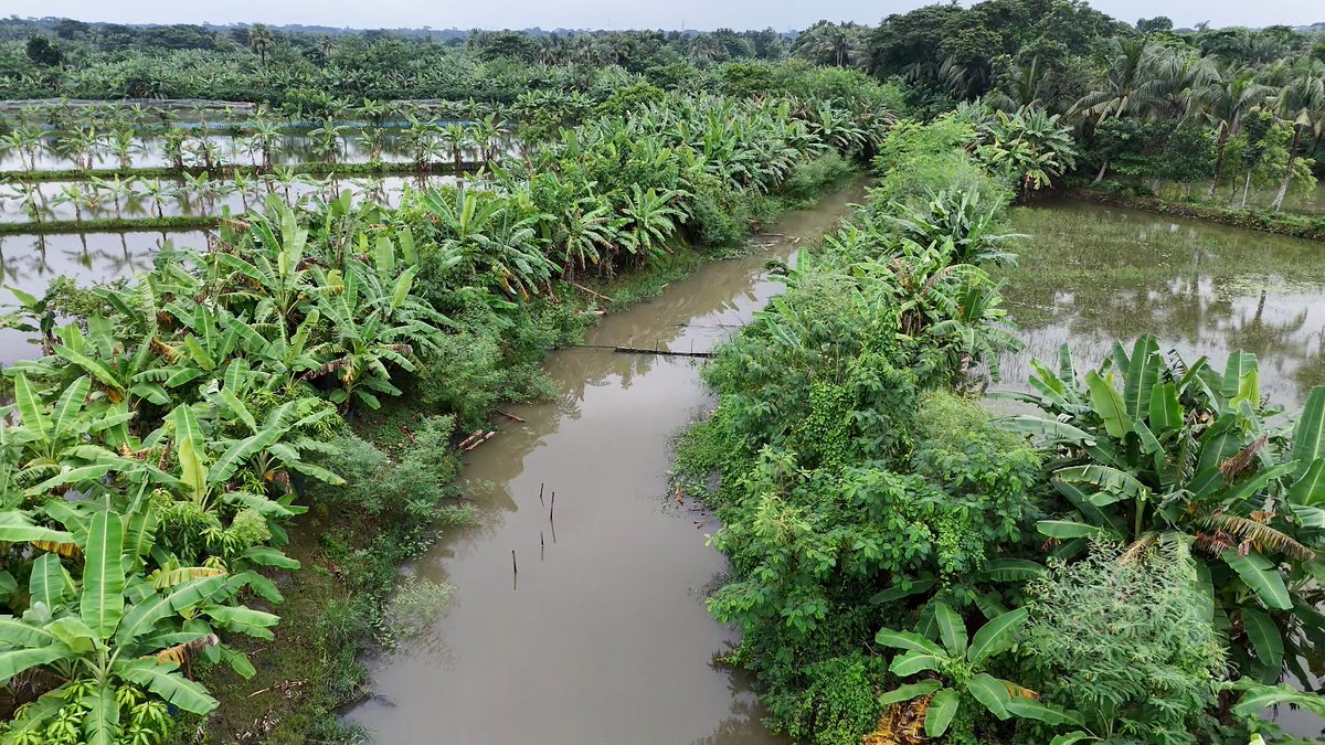 FAOBangladesh's tweet photo. #DRRDay @FAO in 🇧🇩
- establishing a landslide #earlywarningsystem 
- developed a #landslide forecasting service 
- conducting a study to assess socio-economic impact &amp; resilience of water irrigation schemes against #climateinduced risks in coastal zones https://t.co/ceNBsIIRmL