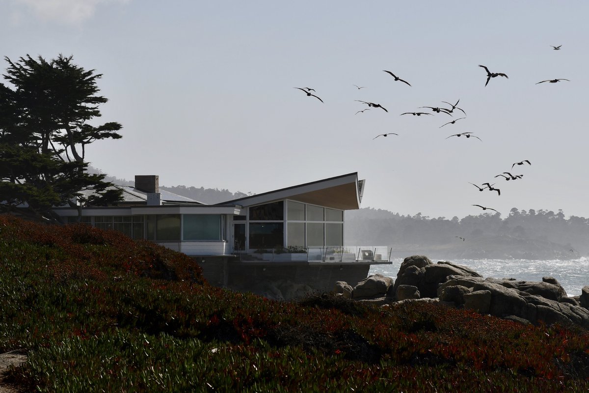VincentLeble's tweet photo. Carmel-by-the-Sea, un peu au sud de Monterey. https://t.co/h5CiqwXgu5