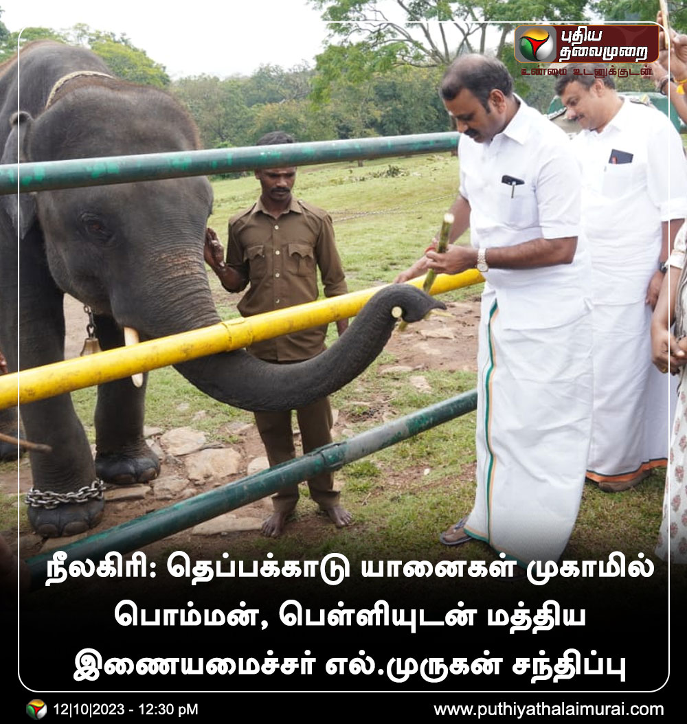 PttvNewsX's tweet photo. நீலகிரி: தெப்பக்காடு யானைகள் முகாமில் பொம்மன், பெள்ளியுடன் மத்திய இணையமைச்சர் எல்.முருகன் சந்திப்பு
#LMurugan | #Nilgiris | #BJP | #Bomman | #Bellie https://t.co/VfcfwdmaFJ