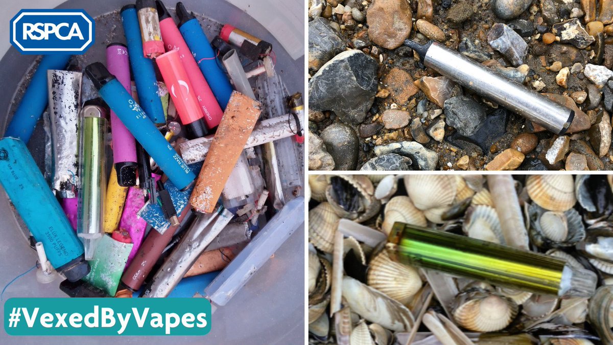 📣 Take action for animals 📣 

🚭 5 MILLION disposable vapes are thrown away weekly, causing a threat to animals and the environment 

Support our campaign to #BanDisposableVapes #VexedByVapes 👇
bit.ly/43DbVIl