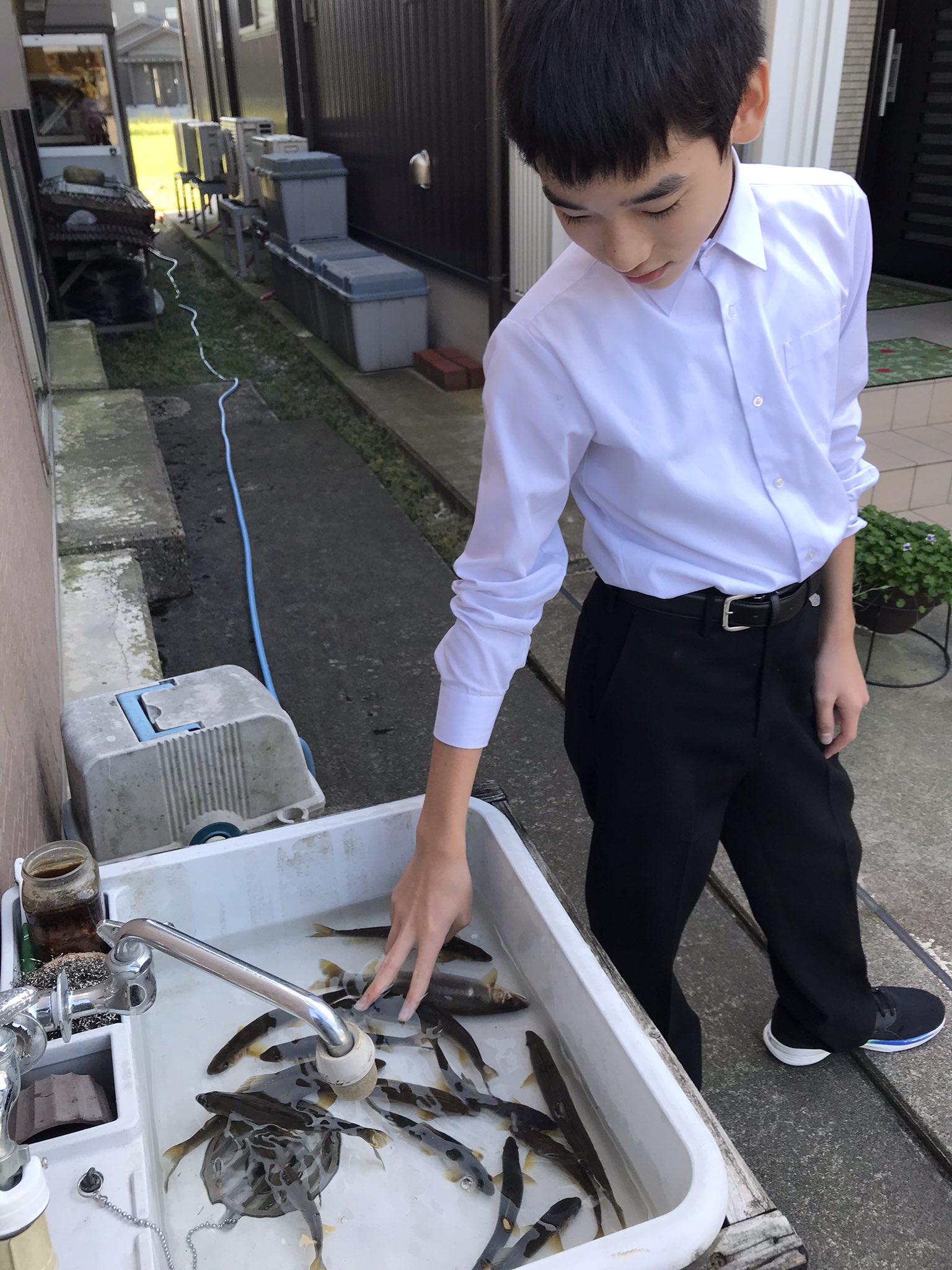 東北鮎人 MDAwMDAyMzQ2Mg_MC4zNjM1ODcwMCA