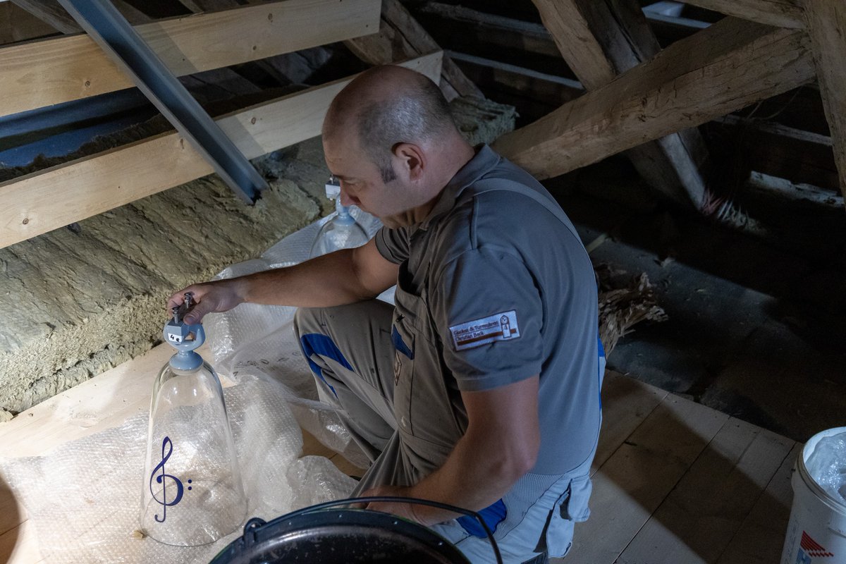 Stadt Weimar tweet media