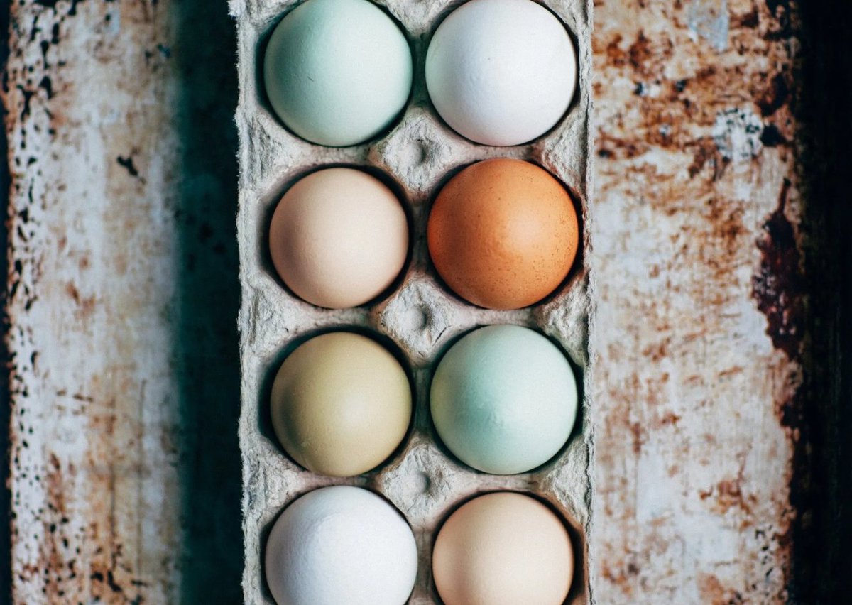 Enjoying an egg? Make sure it's British!🇬🇧