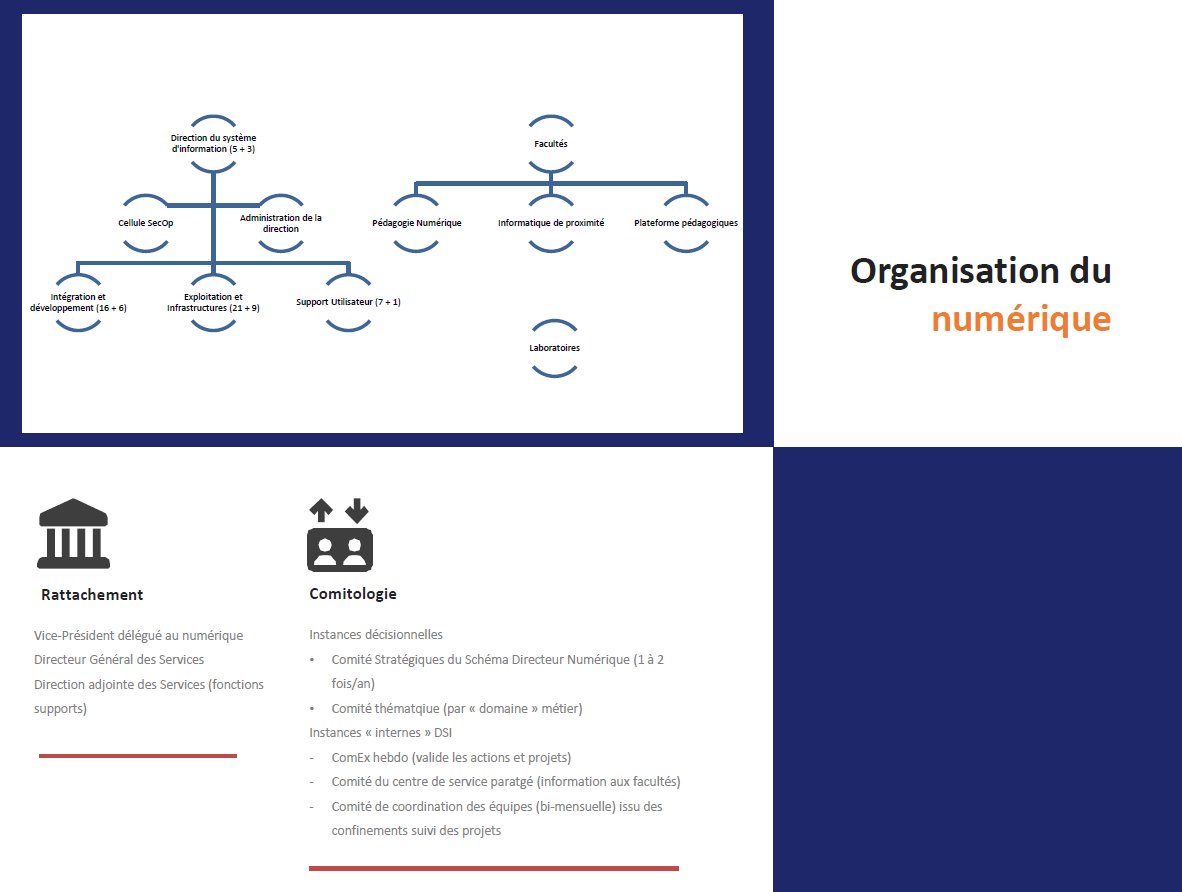 Bertrand Mocquet Ph.D. tweet media