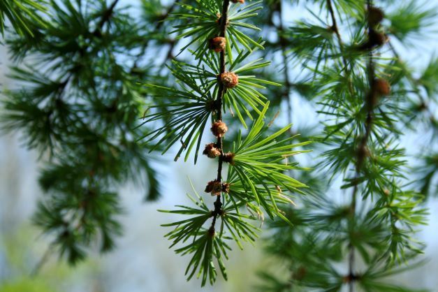 Jacqueline Harris tweet media