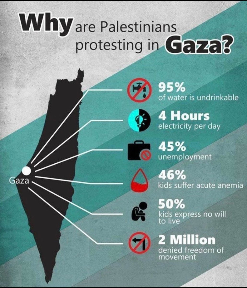 SA85_786's tweet photo. @elonmusk Things will NEVER change until the below stops! THE WORLD NEEDS TO WAKE UP AND STOP THINKING ABOUT SELF INTEREST! #FreeGaza #Palestine #StopGenocide 💔 https://t.co/HveGCJHQTW