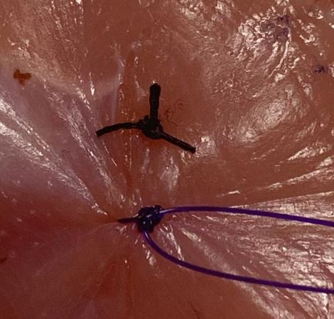 🧵regarding sutures that have been tied either too tight or too loose, as opposed to those that are just right:

Here we will go over some examples of these and how to recognize them, and what may happen if sutures that are too tight or too loose are left in place.
(1/ )