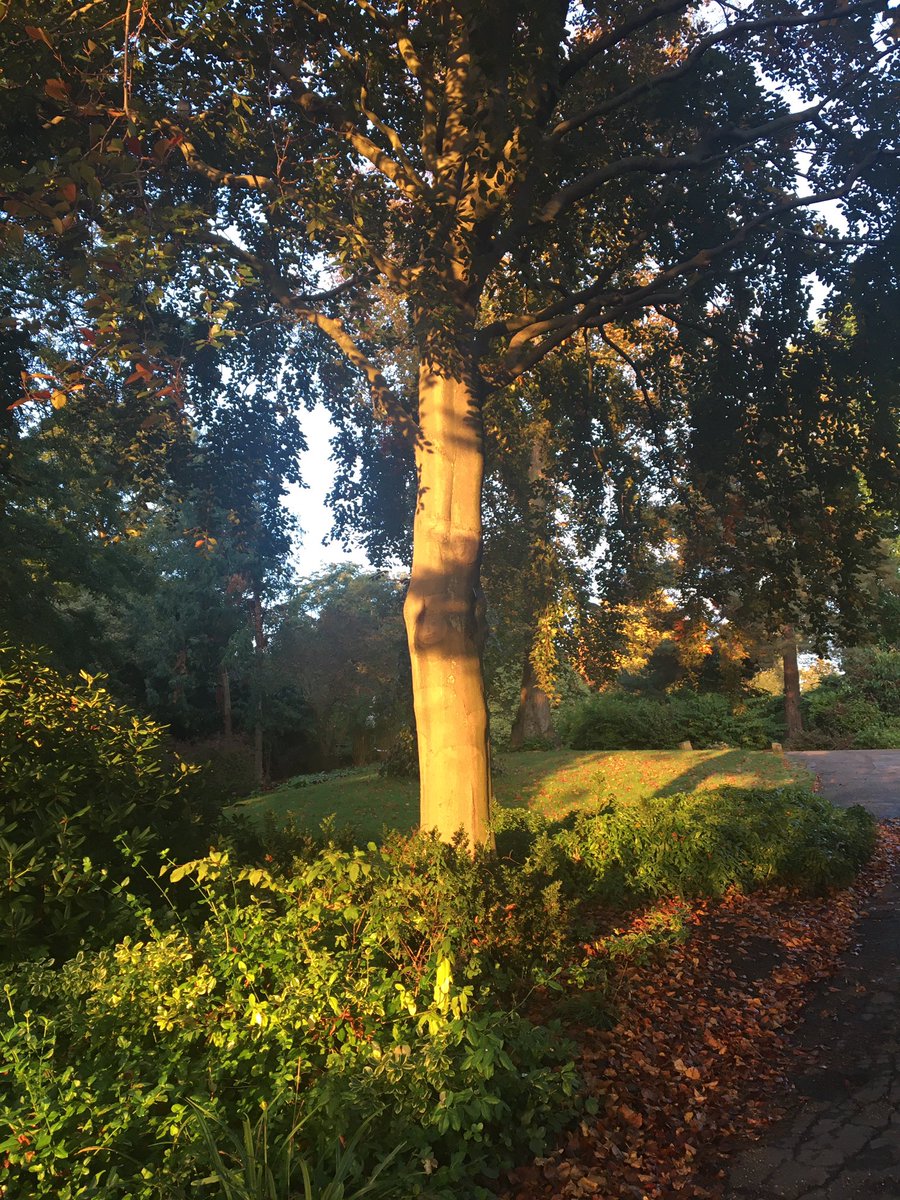 Beautiful start to the day