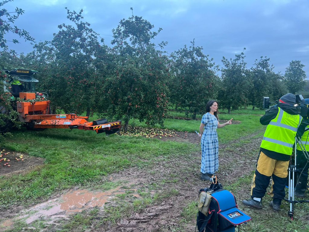 HEINEKEN UK Company (@heinekenuk_news) on Twitter photo Tune in to <a href="/GMB/">Good Morning Britain</a> for a delightful weather forecast by @LauraTobin1, bringing the latest and some tree shaking straight from our cider orchards in #Herefordshire! ๐ฌ๏ธ๐ค๏ธ๐ ๐#GMB #WeatherWithLaura Tune in to <a href="/GMB/">Good Morning Britain</a> for a delightful weather forecast by @LauraTobin1, bringing the latest and some tree shaking straight from our cider orchards in #Herefordshire! ๐ฌ๏ธ๐ค๏ธ๐ ๐#GMB #WeatherWithLaura