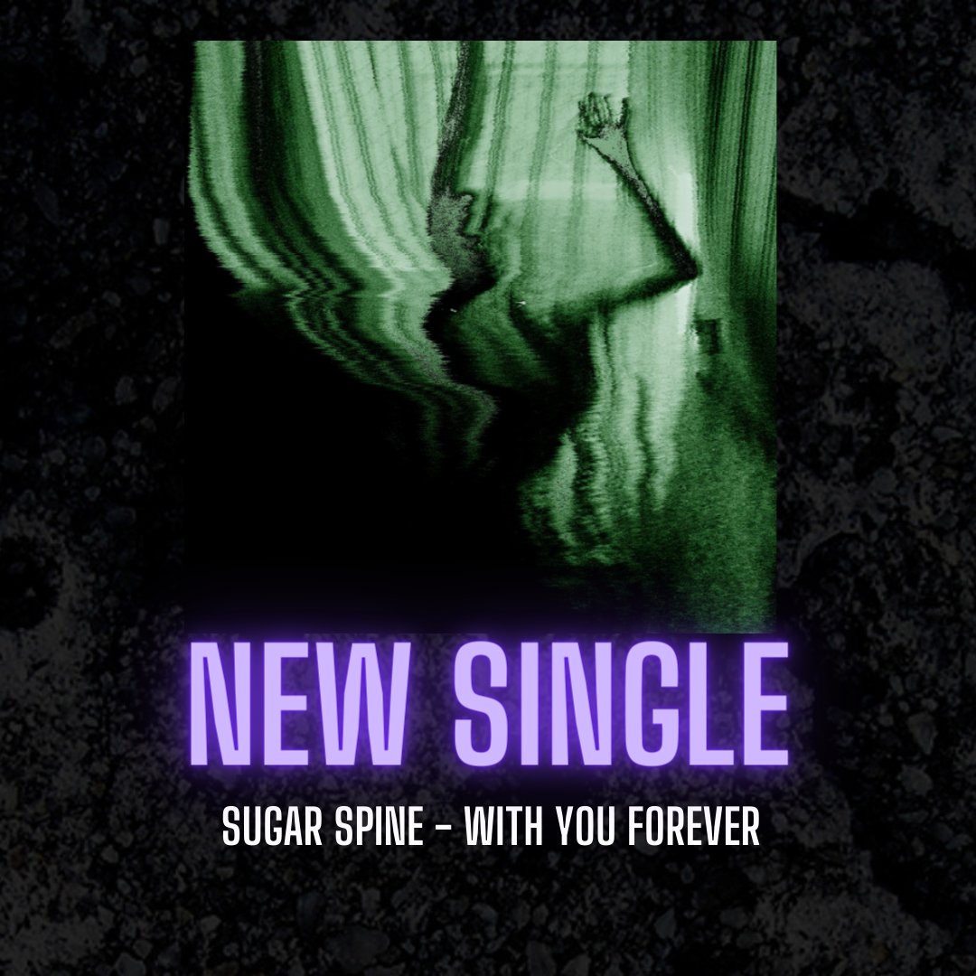 MetalFromNL's tweet photo. More new Dutch metalcore for you guys to enjoy from I'll Get By, A part of the Problem and Sugar Spine. https://t.co/XPnrhXaWgn