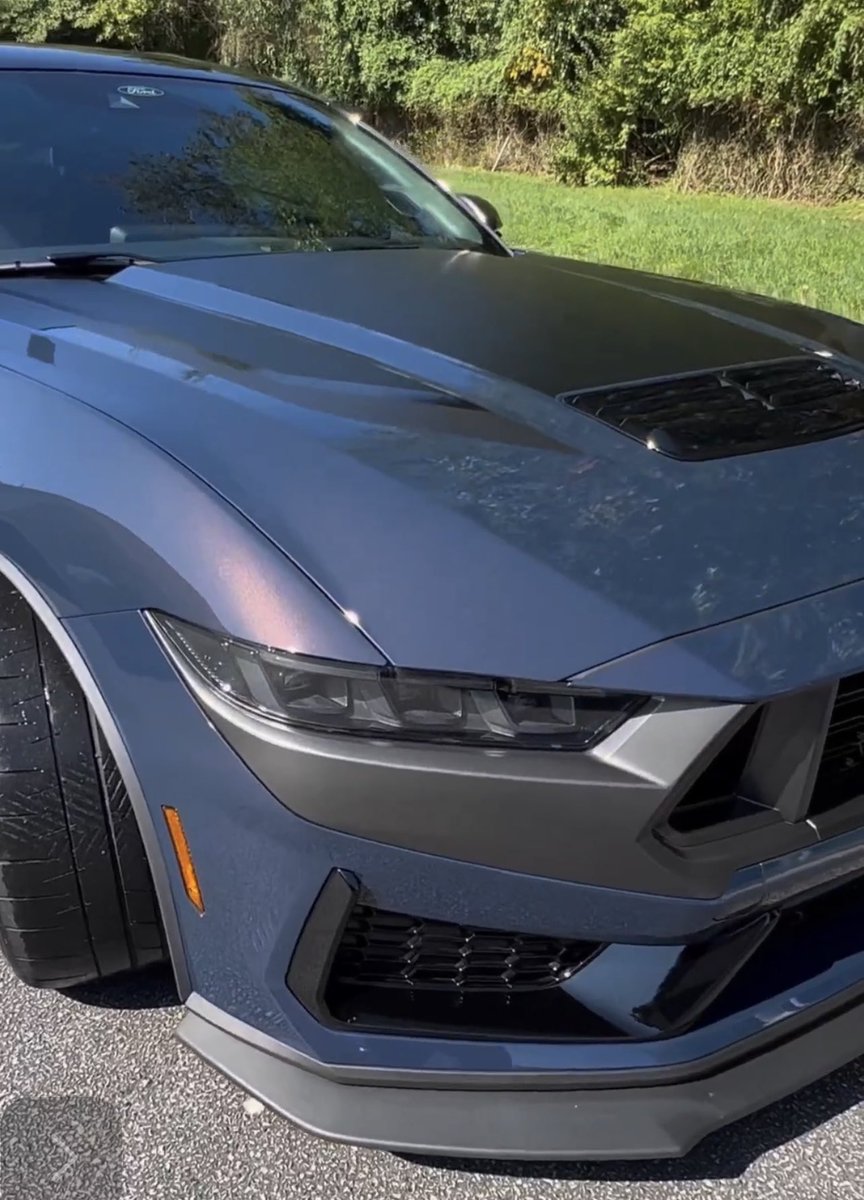 ScheckyTech's tweet image. 2024 Blue Ember Dark Horse Mustang!
instagram.com/reel/CyHcj_sLh…