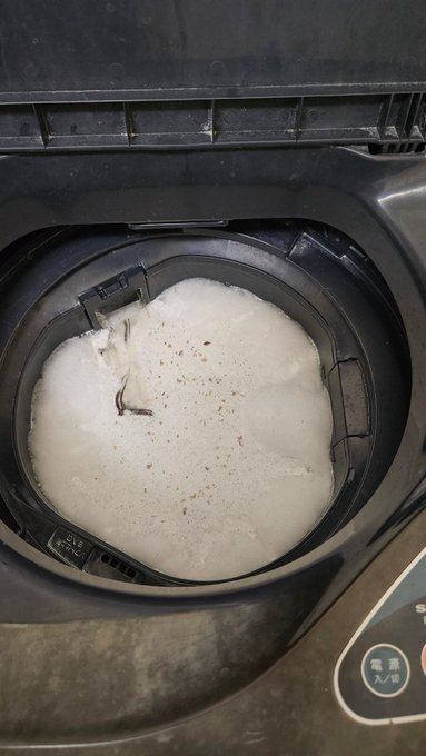 未だにドラム式じゃなく縦型洗濯機を使用しててもう10年以上が経つけど初めて洗濯槽クリーナーを使って掃除したら&hellip;こんなに汚れが浮き上がって来てびつくり笑 めちゃ汚い中で洗濯してたのかと思うとイヤになる!