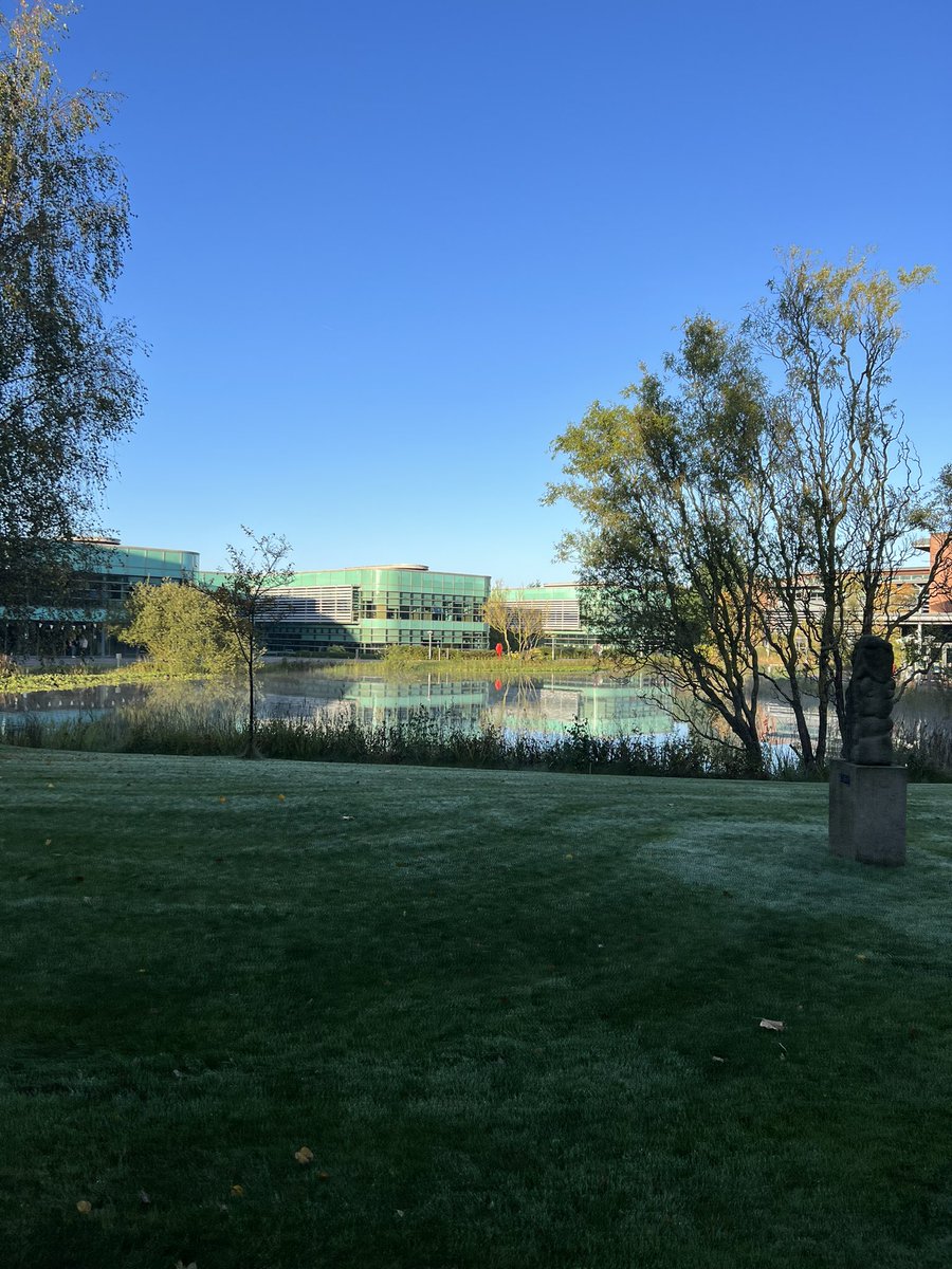 Cheryl_Rainger's tweet photo. Beautiful, misty morning at work @EHU_FOE @edgehill https://t.co/uu8EYK40zx
