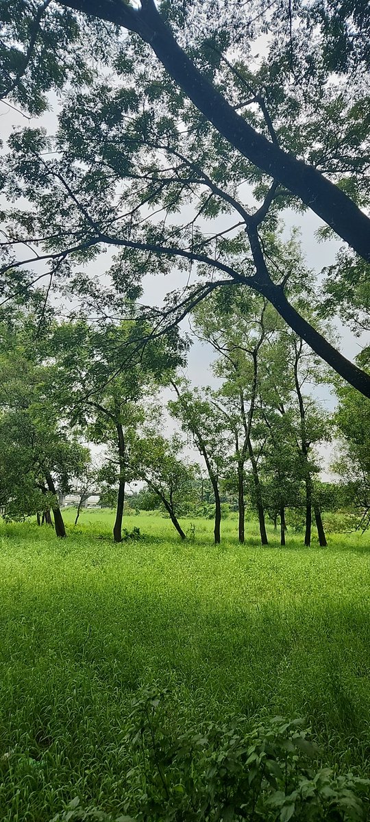 LoneWol67573257's tweet photo. ജീവിതം നമ്മളെ എവിടെയൊക്കെ ആണ്‌ എത്തിക്കുന്നത് 😅
#workfromcar 😛 https://t.co/NHfsr9tGIr