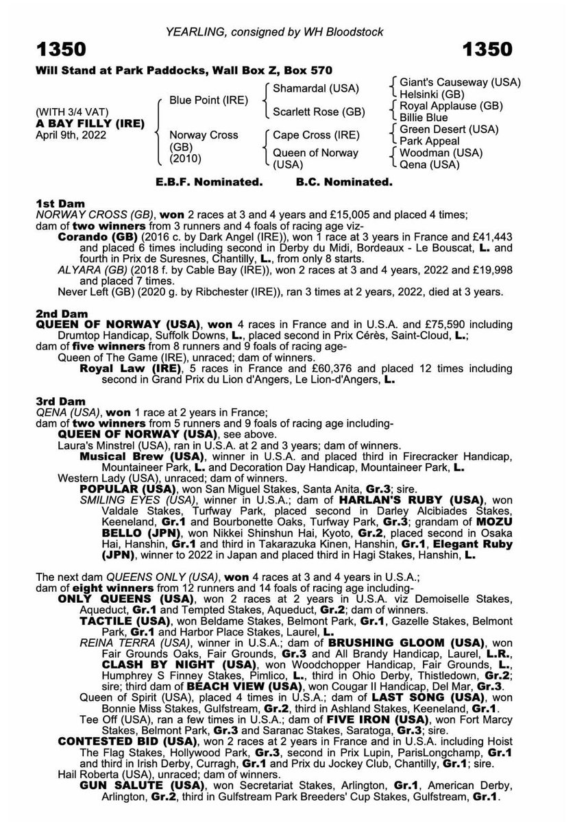 We are delighted to have bought this gorgeous BLUE POINT filly lot 1350 from <a href="/violethesketh/">Violet Hesketh</a> <a href="/mimi_wadham/">Mimi Wadham</a> at <a href="/Tattersalls1766/">Tattersalls</a> Book 2 last night. Well worth the wait for her ⭐️✨🌟 <a href="/Doyle_Racing/">Doyle Racing</a> <a href="/DarleyEurope/">Darley in Europe</a>