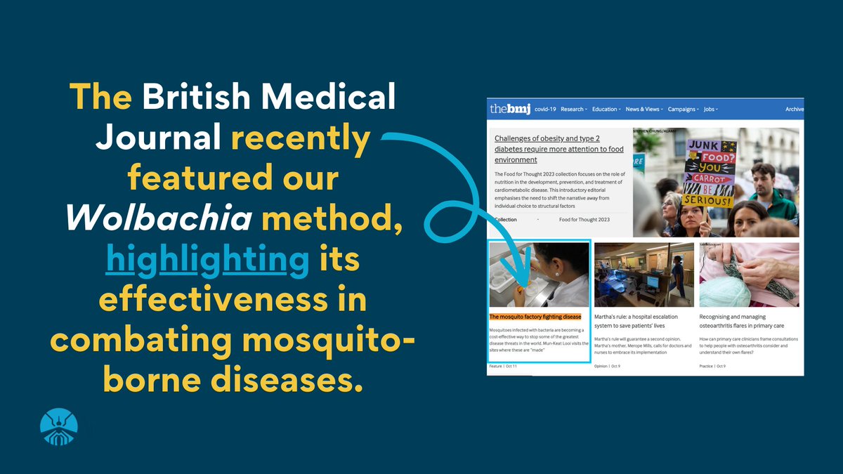 MosquitoProgram's tweet photo. This week we're featured in the latest edition of the British Medical Journal, where they highlight the effectiveness of our #Wolbachia method in #Colombia. For those short on time (or don't have a @bmj_latest  subscription) here's what you need to know:

👇 Tweet thread 👇 1/10 https://t.co/dz36r810BP