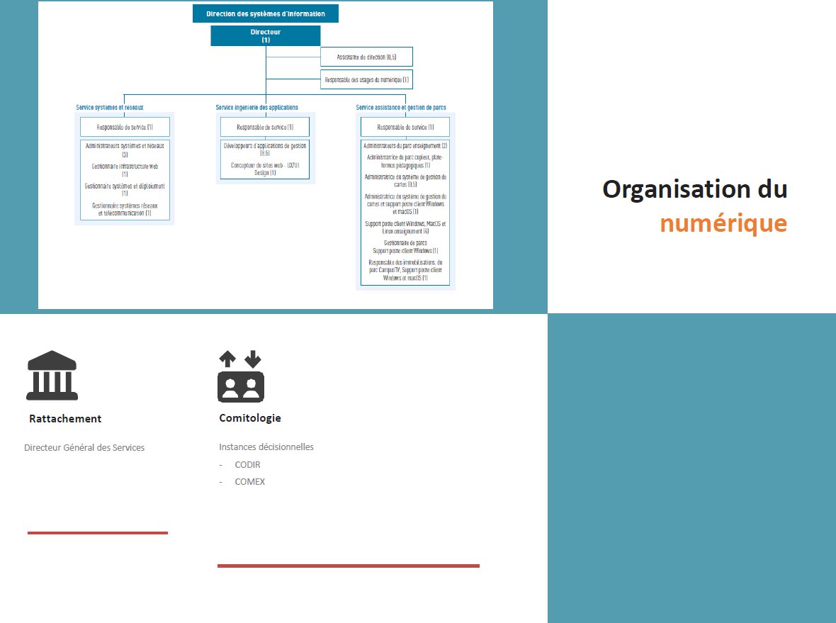 Bertrand Mocquet Ph.D. tweet media