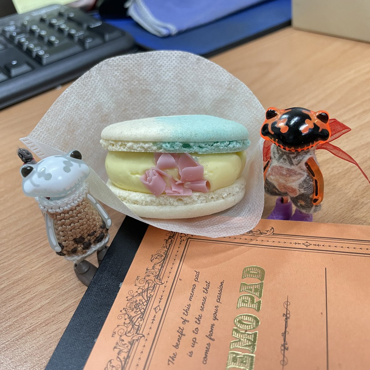 Lucia0509's tweet photo. 下午茶🐸🐸 
香草口味馬卡龍
減糖厚餡、鹹中帶甜
一顆就超有飽足感❤️
#LisaBollene 
#WonderFrog
#ワンダーフロッグ https://t.co/Bfz7q5vn7M