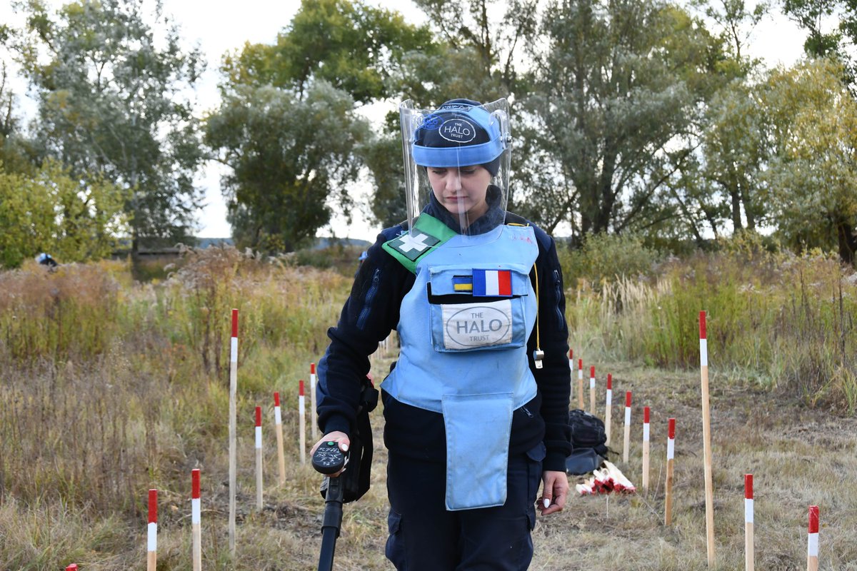 The HALO Trust tweet media