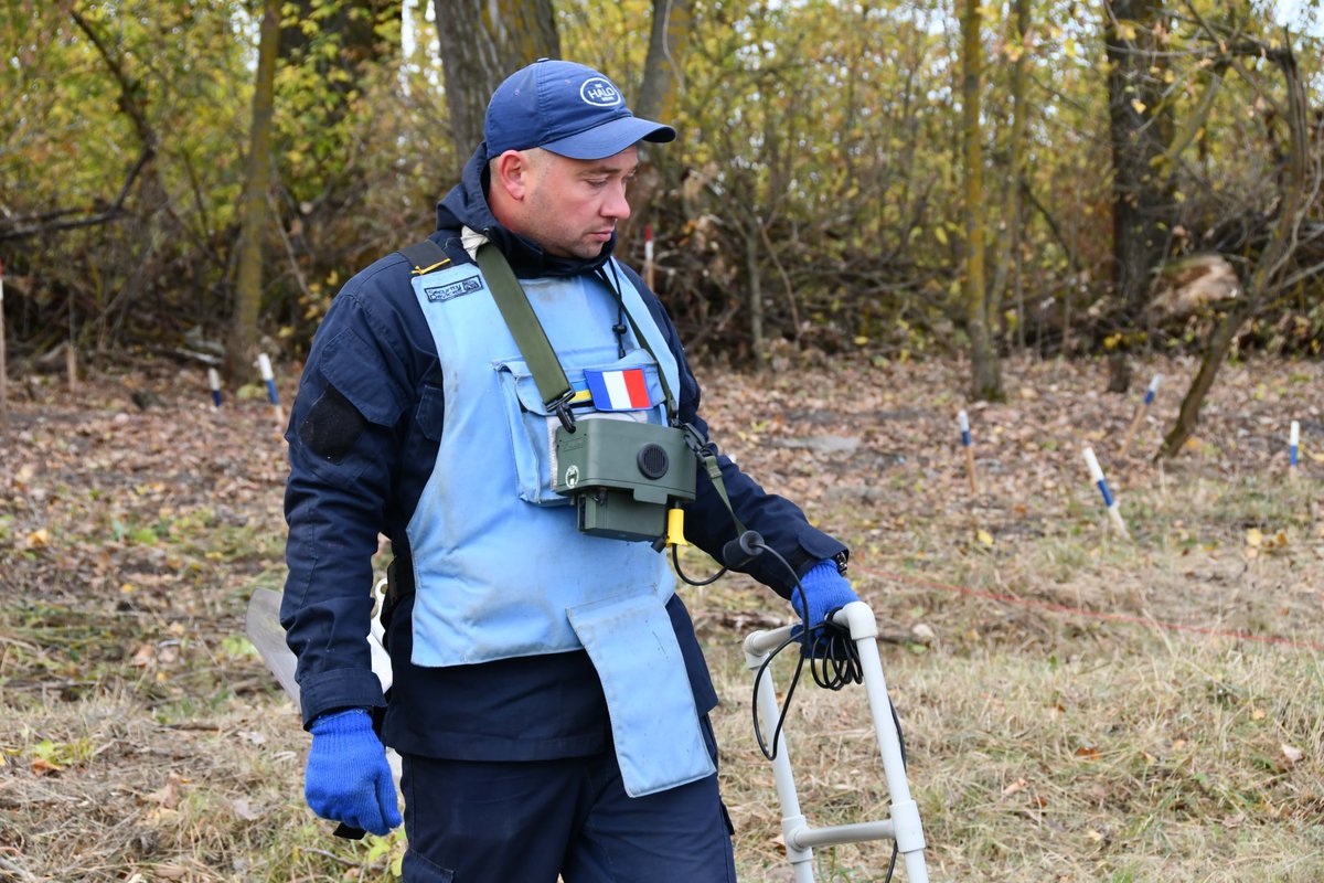 The HALO Trust tweet media