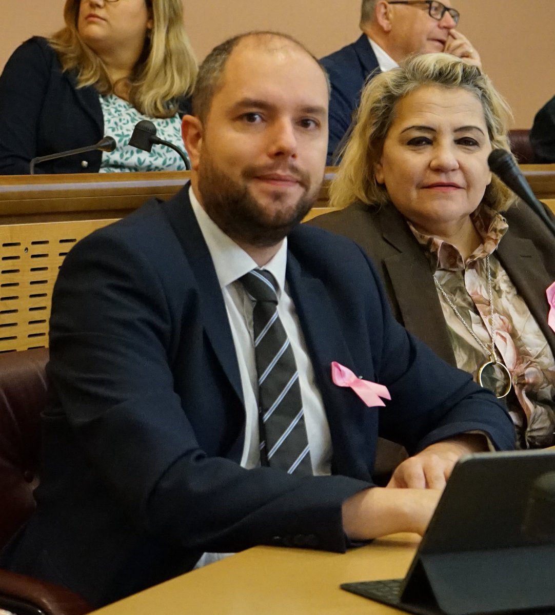 RNGrandEst's tweet photo. 📹 Retrouvez les propos liminaires de @seb_humbert. #SPOct23 
➡️ https://t.co/HT3lWHTJxq https://t.co/IktV7xMBF3