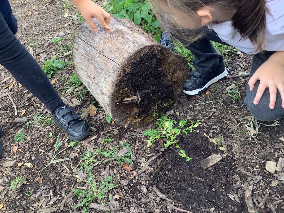 OldBankAcademy's tweet photo. Beech class enjoying their trip into Forest School for their experience day in English. We went on a minibeast hunt, made houses for bugs we found and even drank tasty hot chocolate! We will now write a recount of our trip. @janeconsidine #OBAEnglish #opportunity #inspiredtowrite https://t.co/PMekJ8R4ZW