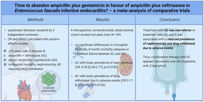 La EI por E. faecalis tiene una mortalidad y riesgo de complicaciones elevados
Monoterapia amoxi peor capacidad aclaramiento y  ⬆️riesgo recurrencia 

Sinergia con Ceftriaxona es 🔝
¿Pero y si te digo que Enterococcus spp. son resistente a Ceftriaxona? 🤔

Ven que te cuento🧵