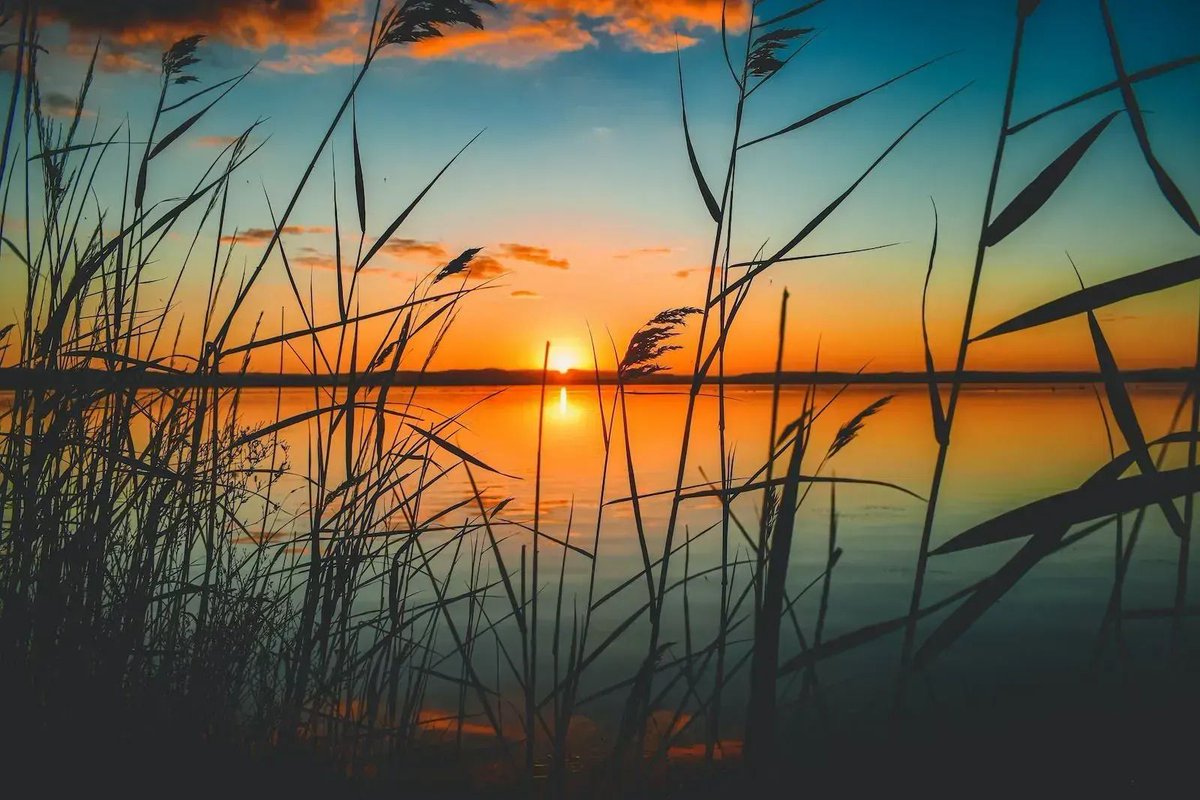 DTNEtiquette's tweet photo. Sometimes all we need is a change of pace to stop, reflect, and appreciate...~ #DTN #NatureIsCalling #TakeAWalk #PurposefulPause https://t.co/GP403nGUnz