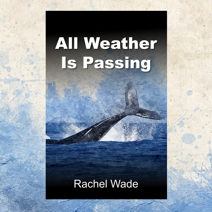With #BookshopDay approaching, why not treat yourself to a new read? My latest novel 'All Weather Is Passing' is a great choice for cosy nights (or Christmas presents!) with its atmospheric coastal setting, intriguing characters, and murder mystery plot. #reading #booksaremybag