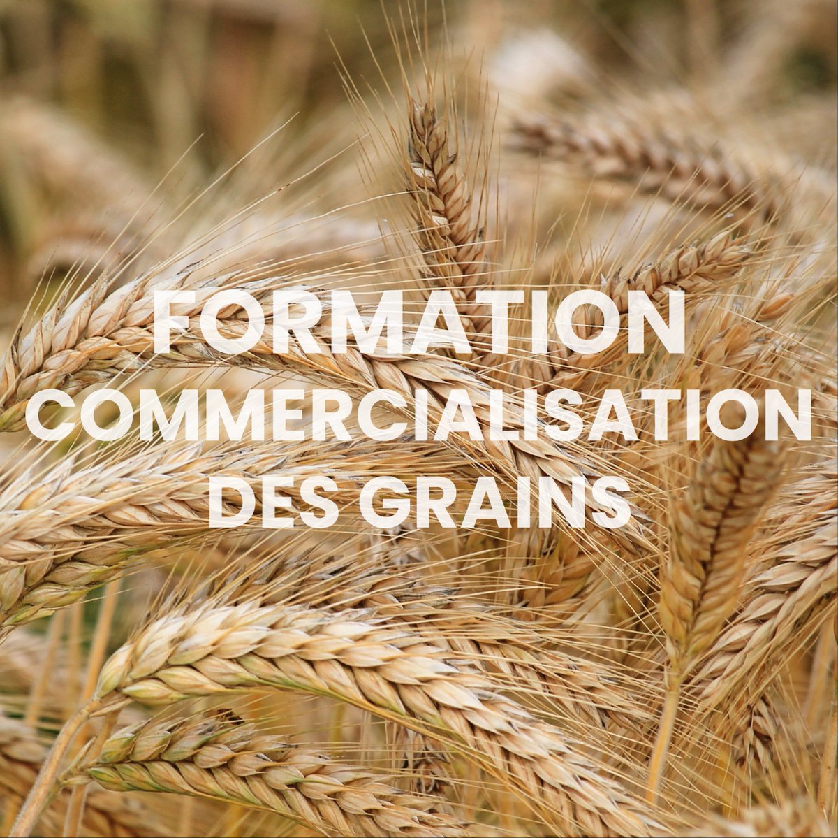 Le Négoce Agricole (@negoceagricole) on Twitter photo 🟢La FNA propose une 3ème session de formation pour prendre en main de manière opérationnelle les postes en lien avec la commercialisation des grains.
❗Exclusivité adhérent FNA
➡️ 𝘗𝘰𝘶𝘳 𝘴’𝘪𝘯𝘴𝘤𝘳𝘪𝘳𝘦 : l.memain@asfona.fr - 05 49 75 10 01
#NegoceAgricole #grains 🟢La FNA propose une 3ème session de formation pour prendre en main de manière opérationnelle les postes en lien avec la commercialisation des grains.
❗Exclusivité adhérent FNA
➡️ 𝘗𝘰𝘶𝘳 𝘴’𝘪𝘯𝘴𝘤𝘳𝘪𝘳𝘦 : l.memain@asfona.fr - 05 49 75 10 01
#NegoceAgricole #grains