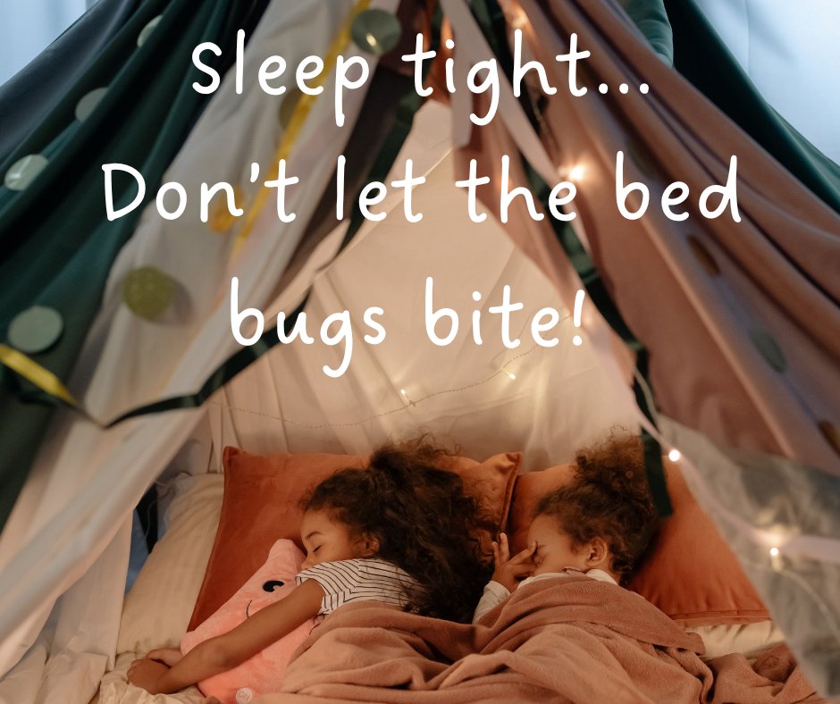 LandofBeds's tweet image. Dealing with bed bugs?

Wash infested bedding &amp;amp; clothes in hot water (60°C), and tumble dry for 30+ mins.

Freeze affected items in plastic bags for 3-4 days.

Regular cleaning &amp;amp; vacuuming help spot bed bugs sooner.

#BedBugTips #SleepWell