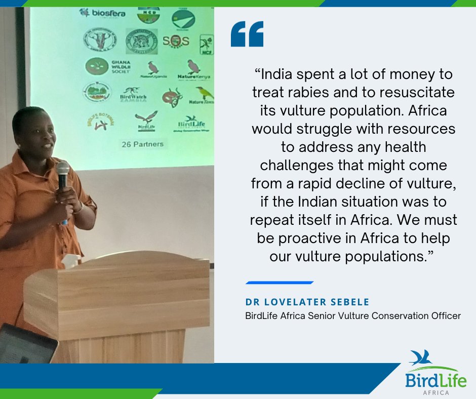 BirdLifeAfrica's tweet photo. BirdLife Africa senior vulture conservation officer, Dr @masebele_ls statement during the workshop hosted by @BirdlifeB . #Vultures have suffered catastrophic and unprecedented population declines due to poisoning, among other threats, mainly because of poison. https://t.co/UU5rAGIxye