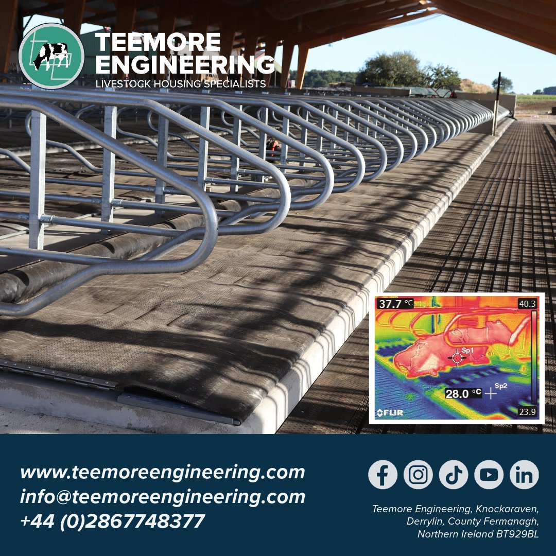 TotalDairy tweet media