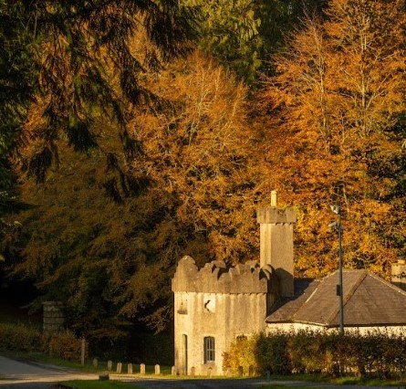 Oh, hi Autumn! 👋 Our beautiful forests are transforming into a palette of golden yellows and burnt oranges 🍂 Witness this breathtaking seasonal change for yourself this weekend in one of Coillte's 260 recreational sites around Ireland. #ForestsForPeople