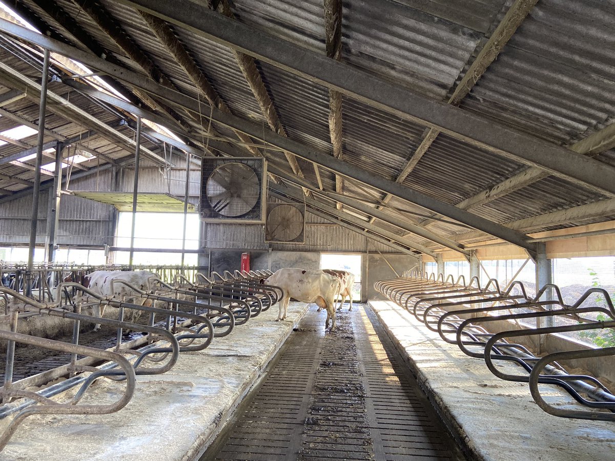 Hendrika tweet media