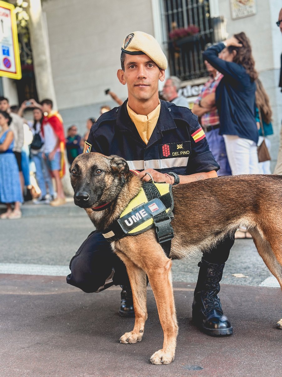 UMEgob's tweet photo. No podían faltar nuestros fieles compañeros: los perros de búsqueda y rescate🐕 que han demostrado su valía en los terremotos de #Turquía🇹🇷 y #Marruecos🇲🇦

En representación de los equipos cinológicos de la #UME, este #DFN23 desfilan:
🐶 Cesar
🐶 Valto
🐶 Moon https://t.co/h6xAagWiqe