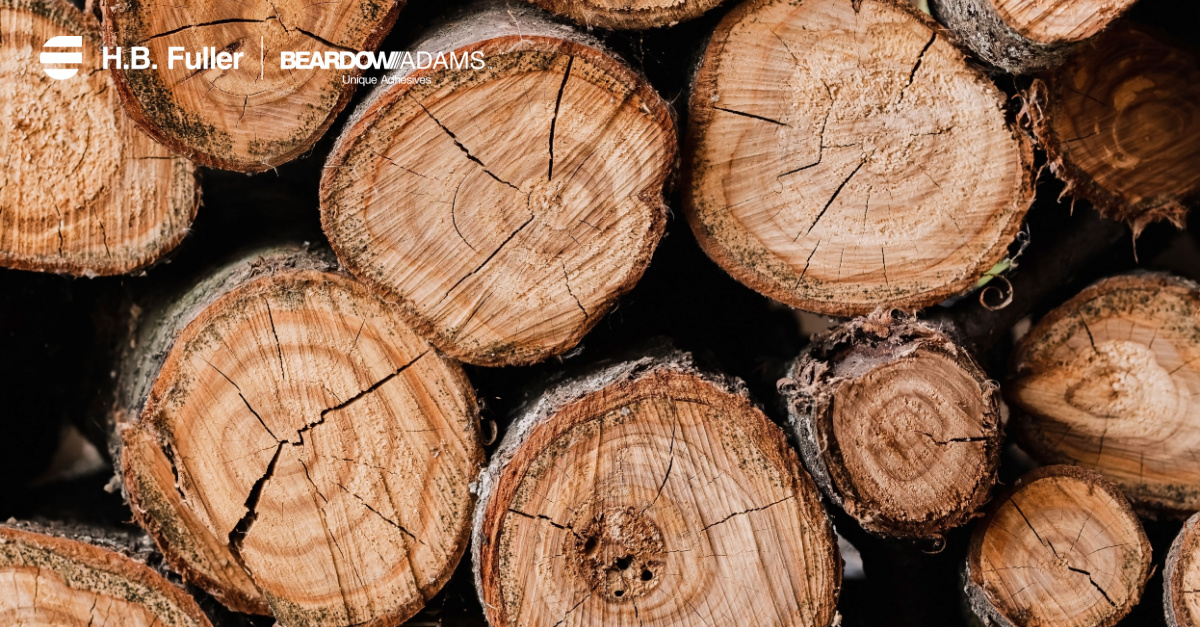 BeardowAdams's tweet photo. We provide woodworking adhesive solutions for the following applications:

- Profile wrapping
- Edgebanding
- Softforming
- Laminating
- General assembly

More info? Email marketing@beardowadams.com

#woodwork #woodworking #woodglue #hotmelt #adhesive #adhesivesolutions https://t.co/EqVLT9ZeUQ