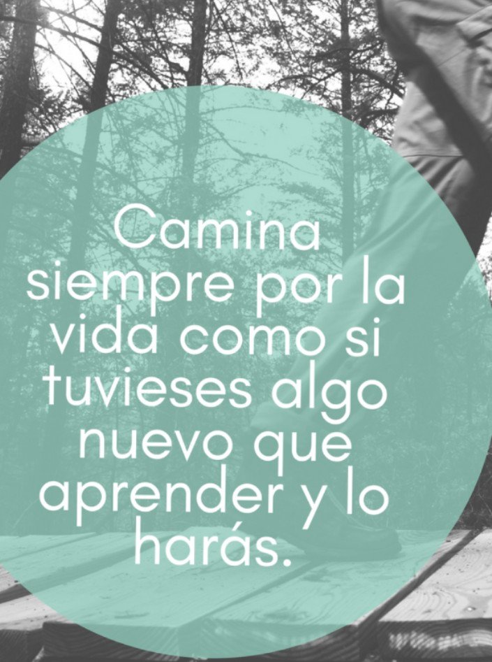 loreluelmo's tweet photo. https://t.co/LigxPRs5J2