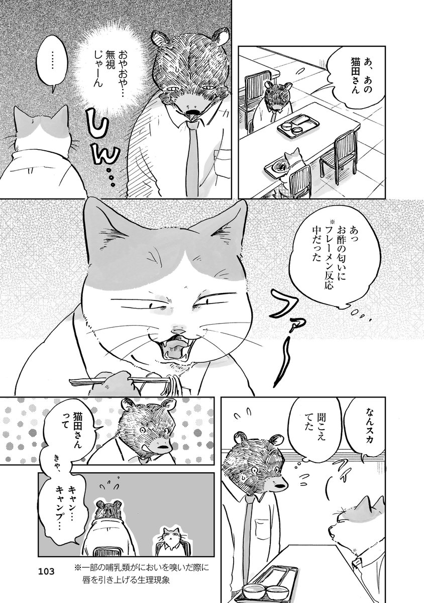 (6/6) 