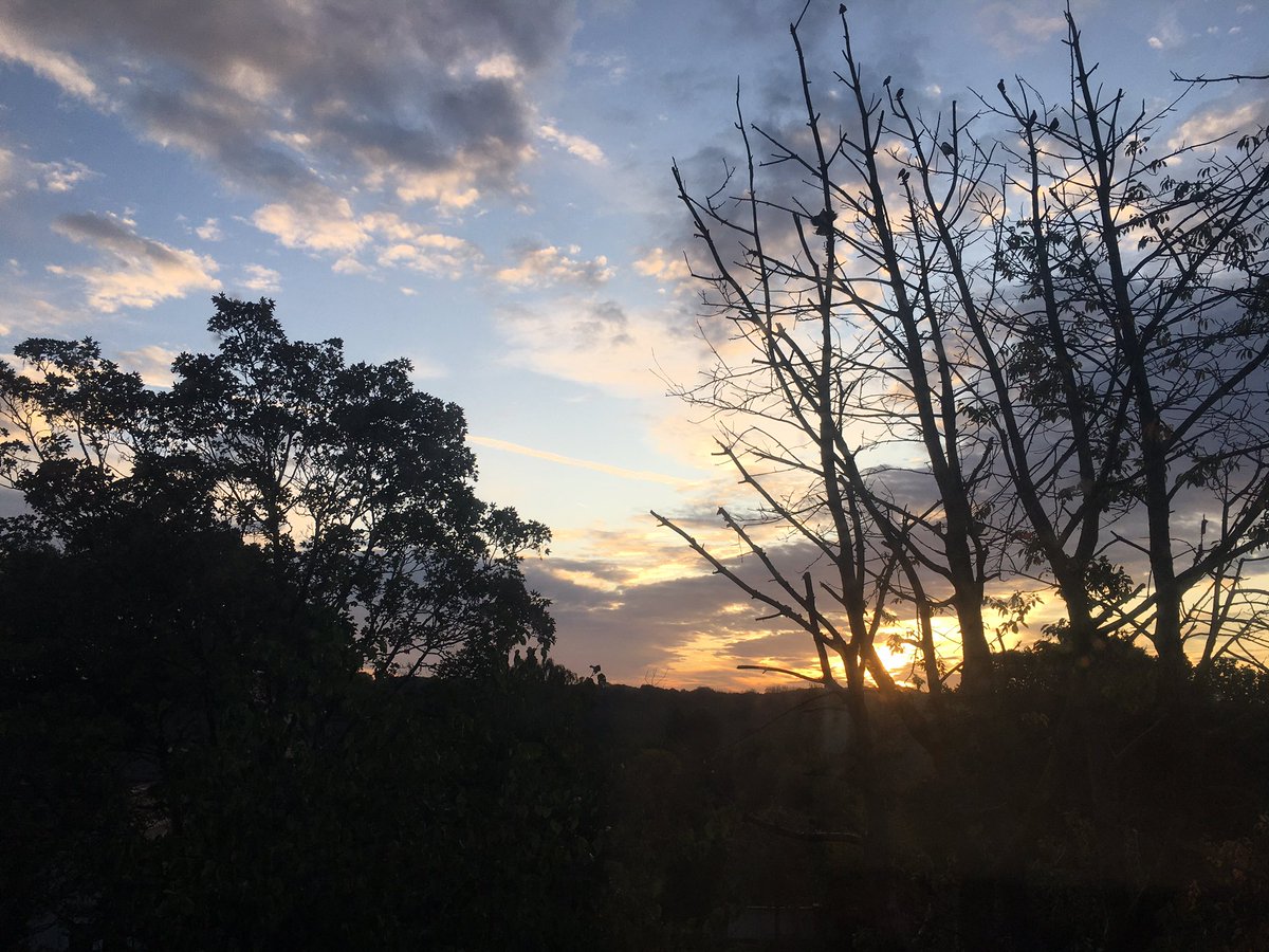 VertebratePublishing tweet media