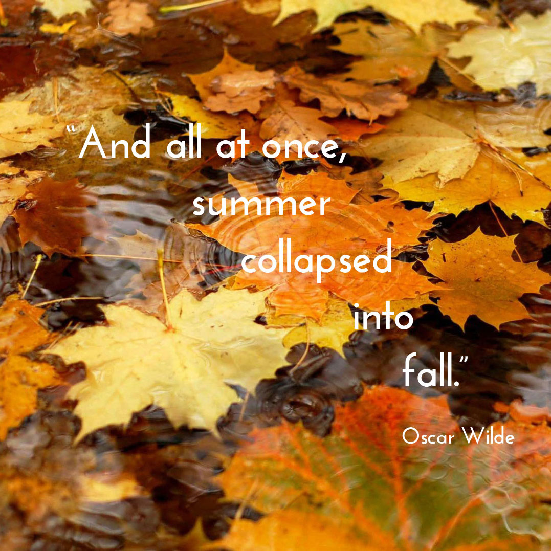 🍁 "And all at once, 🍁 🍂
🍂 summer 🍁 🍂
collapsed 🍁
into 🍂 🍁
🍁 fall" 
🍁
Oscar Wilde
.
.
.
#autumn #autumnleaves #selfcatering #dogfriendly #logburner #thursdaythoughts