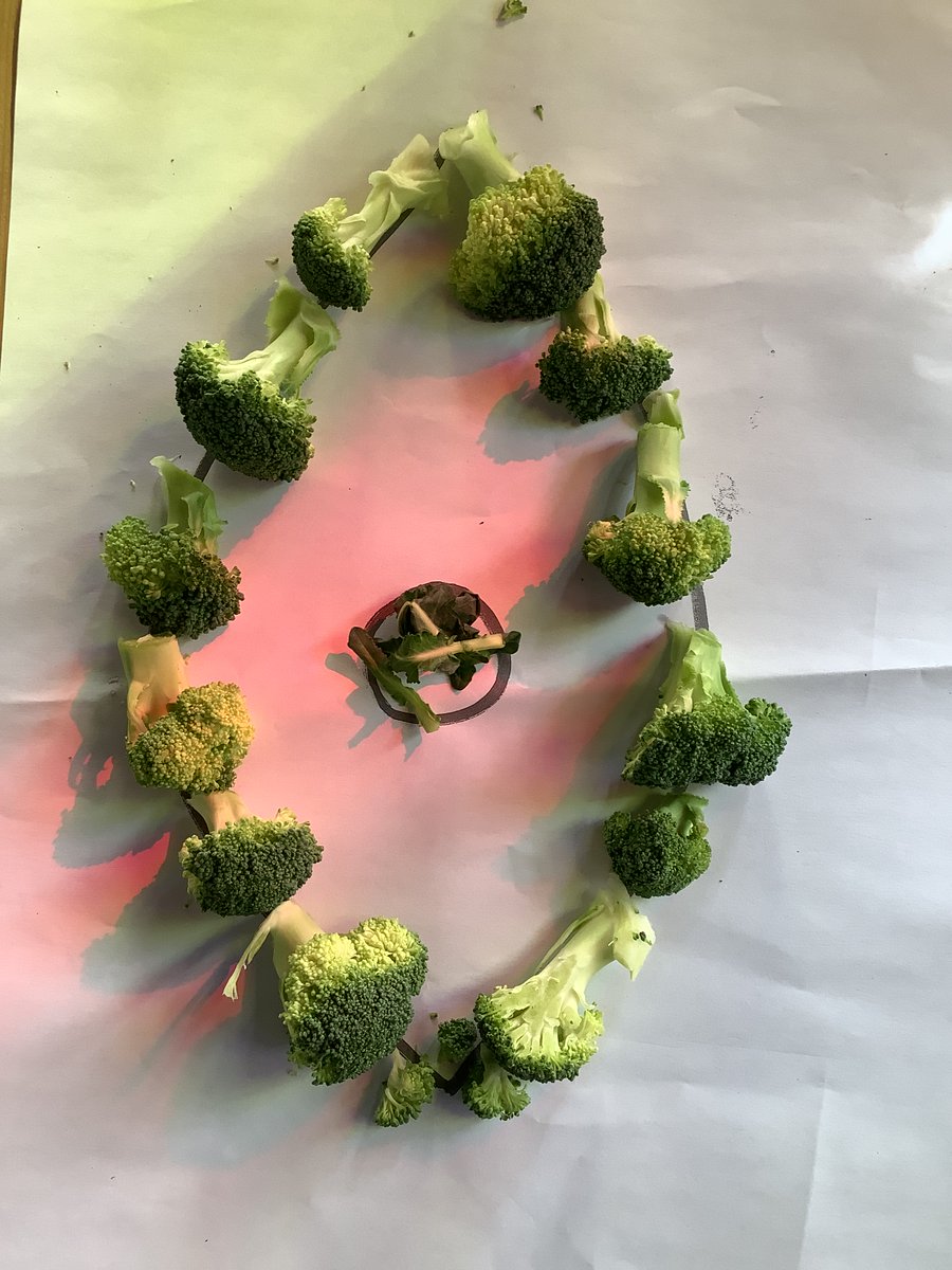 Fairfieldstweet's tweet photo. F10 students have been making eye pictures from broccoli. We have been learning about looking after our eyes
#WorldSightDay2023 #PositiveLooking https://t.co/0oTbKzwGhJ