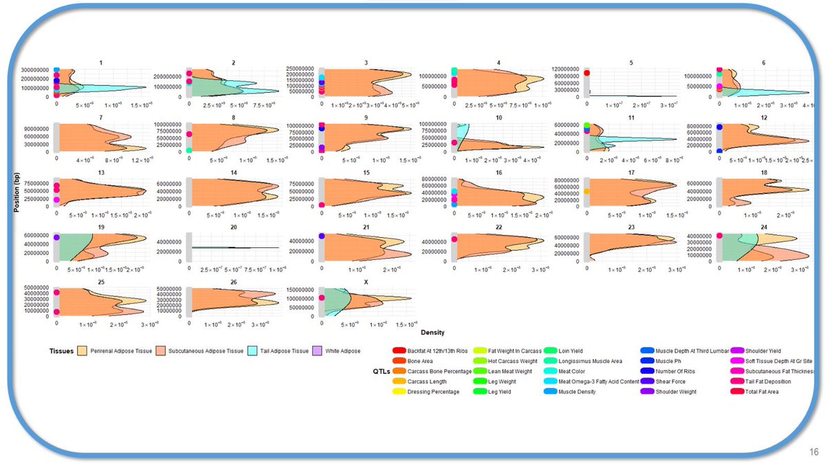 ℳaría Alonso ♕ tweet media