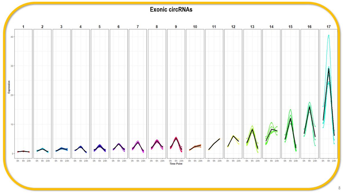 ℳaría Alonso ♕ tweet media