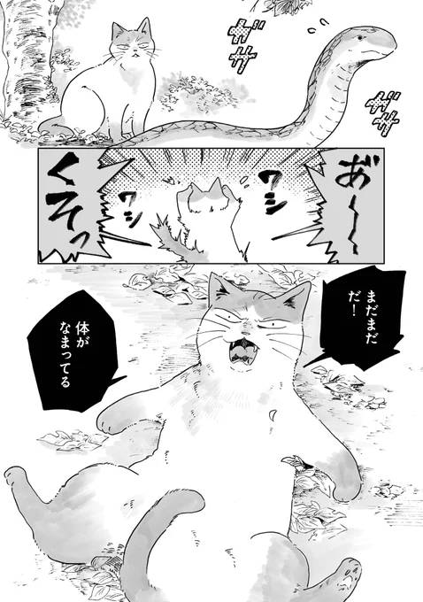 (2/6) 