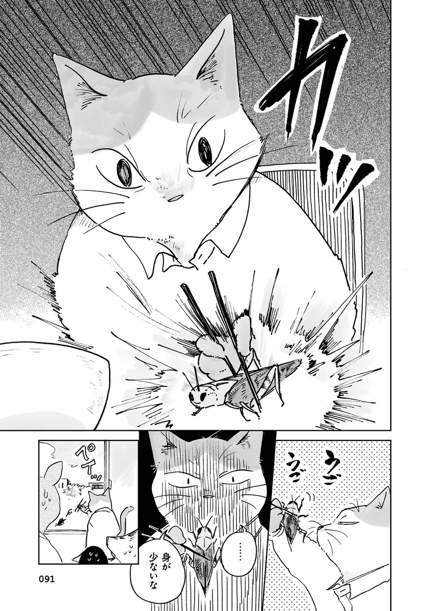 (3/6) 